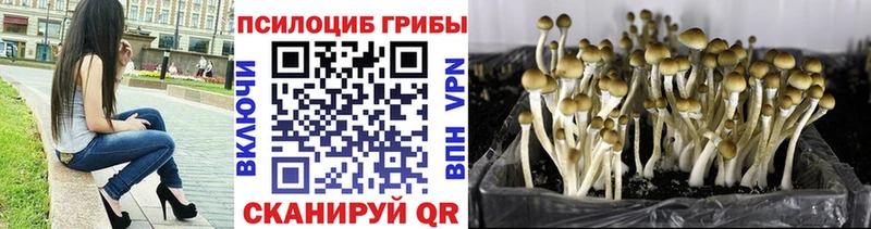 Псилоцибиновые грибы прущие грибы Неман